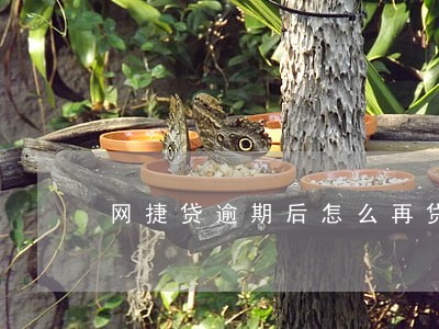 网捷贷逾期后怎么再贷 网捷贷逾期后怎么再贷