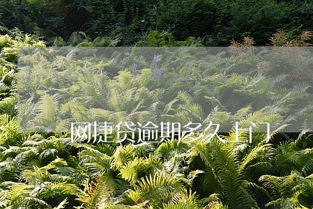 网捷贷逾期多久上门 网捷贷逾期多久上门