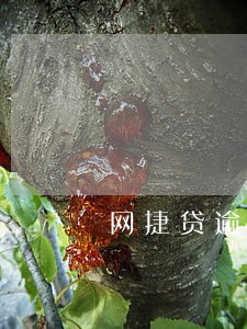 网捷贷逾期多久会封信用卡 网捷贷逾期多久会封信用卡