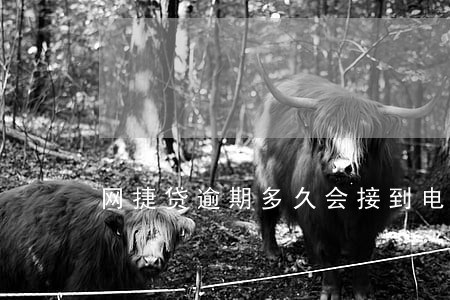 网捷贷逾期多久会接到电话 网捷贷逾期多久会接到电话