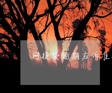 网捷贷逾期应诉准备写什么 网捷贷逾期应诉准备写什么
