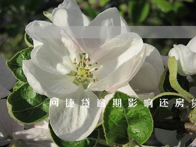 网捷贷逾期影响还房贷 网捷贷逾期影响还房贷