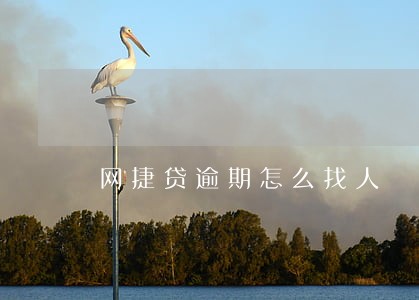 网捷贷逾期怎么找人 网捷贷逾期怎么找人