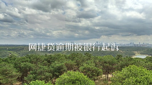 网捷贷逾期被银行起诉 网捷贷逾期被银行起诉