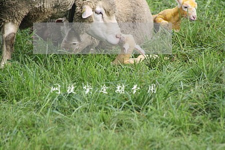 网捷贷逾期费用 网捷贷逾期费用