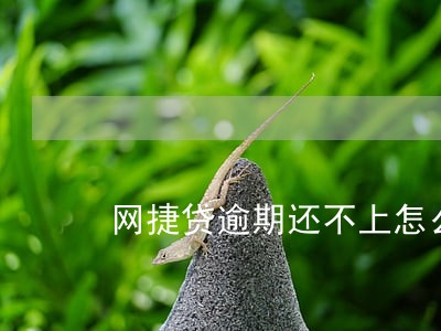 网捷贷逾期还不上怎么办 网捷贷逾期还不上怎么办