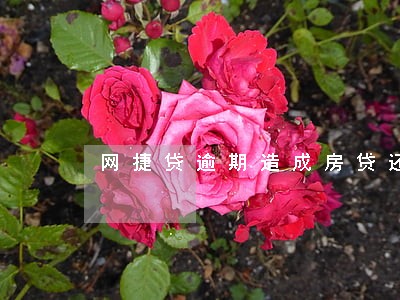 网捷贷逾期造成房贷还不上 网捷贷逾期造成房贷还不上