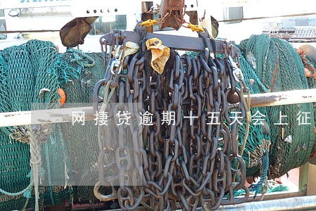 网捿贷逾期十五天会上征信吗 网捿贷逾期十五天会上征信吗