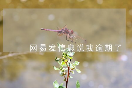 网易发信息说我逾期了