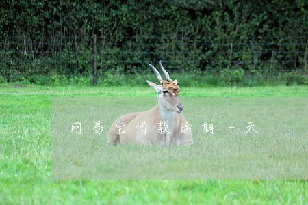 网易宝借款逾期一天 网易宝借款逾期一天