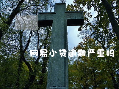 网易小贷逾期严重吗
