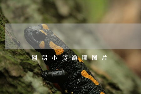 网易小贷逾期图片 网易小贷逾期图片