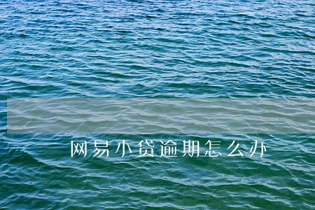 网易小贷逾期怎么办 网易小贷逾期怎么办