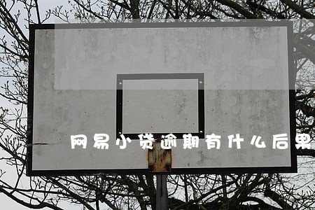 网易小贷逾期有什么后果 网易小贷逾期有什么后果