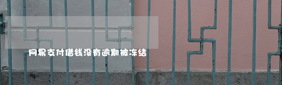 网易支付借钱没有逾期被冻结