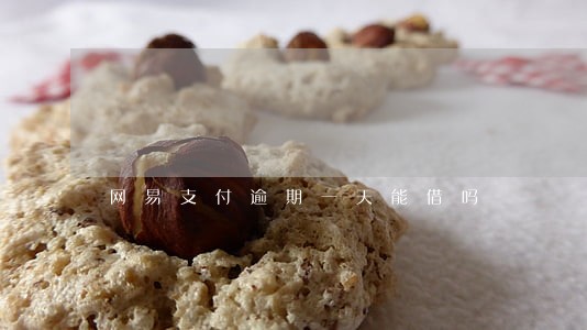 网易支付逾期一天能借吗 网易支付逾期一天能借吗