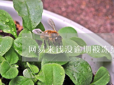 网易来钱没逾期被冻结 网易来钱没逾期被冻结