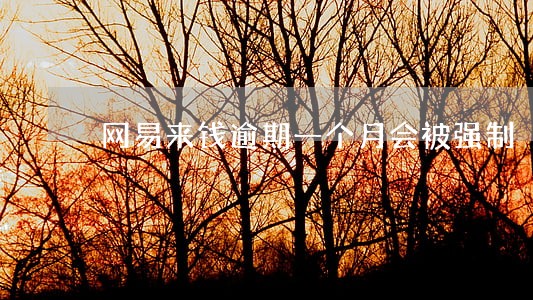 网易来钱逾期一个月会被强制 网易来钱逾期一个月会被强制