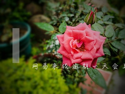 网易来钱逾期一天会上征信么 网易来钱逾期一天会上征信么