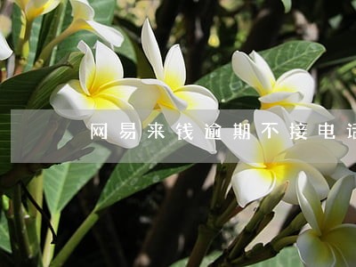 网易来钱逾期不接电话 网易来钱逾期不接电话