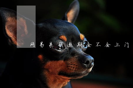 网易来钱逾期会不会上门 网易来钱逾期会不会上门