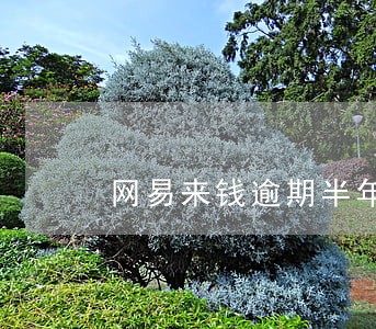 网易来钱逾期半年 网易来钱逾期半年