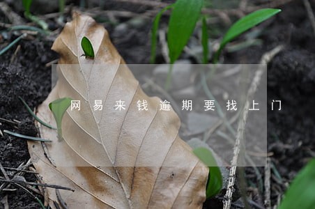 网易来钱逾期要找上门