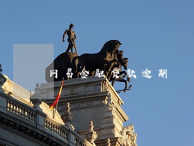 网易金融贷款逾期 网易金融贷款逾期