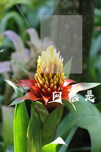 网暴是不是也违法 网暴是不是也违法