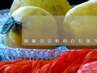网曝司法机构存在黄牛 网曝司法机构存在黄牛