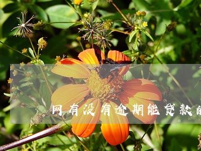 网有没有逾期能贷款的网贷 网有没有逾期能贷款的网贷