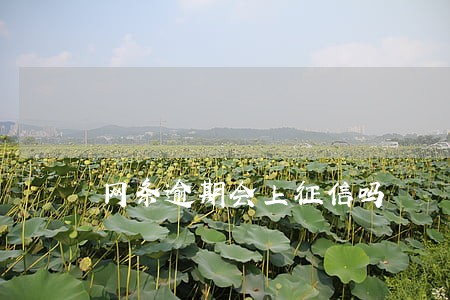 网条逾期会上征信吗