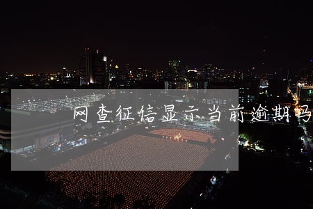 网查征信显示当前逾期吗