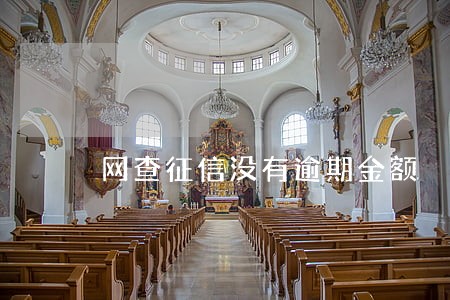 网查征信没有逾期金额 网查征信没有逾期金额