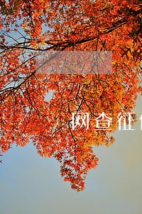 网查征信能显示所有逾期记录吗 网查征信能显示所有逾期记录吗