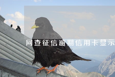 网查征信逾期信用卡显示余额 网查征信逾期信用卡显示余额