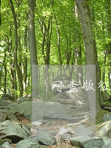 网查版征信能看到逾期情况么 网查版征信能看到逾期情况么