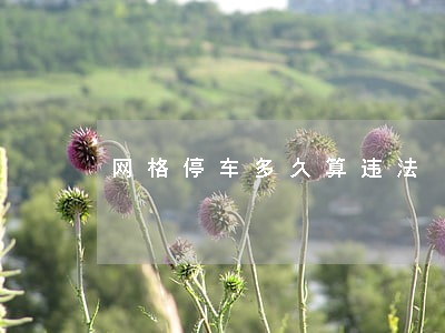 网格停车多久算违法 网格停车多久算违法