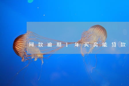 网款逾期1年买房能贷款吗 网款逾期1年买房能贷款吗