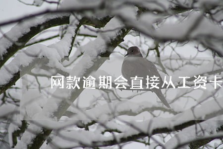 网款逾期会直接从工资卡上扣钱吗