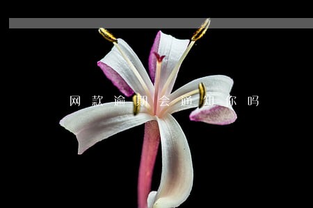 网款逾期会通知你吗 网款逾期会通知你吗