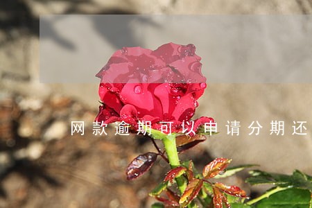 网款逾期可以申请分期还款吗 网款逾期可以申请分期还款吗