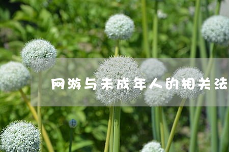 网游与未成年人的相关法规 网游与未成年人的相关法规