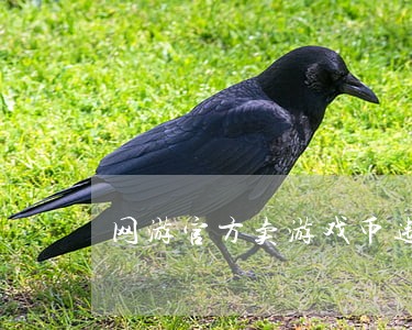 网游官方卖游戏币违法 网游官方卖游戏币违法