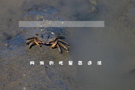网游的托是否违法