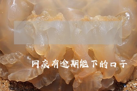 网灰有逾期能下的口子