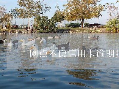 网点不良信用卡逾期扣划 网点不良信用卡逾期扣划
