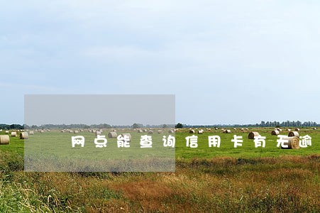 网点能查询信用卡有无逾期 网点能查询信用卡有无逾期