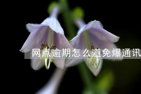 网点逾期怎么避免爆通讯录 网点逾期怎么避免爆通讯录