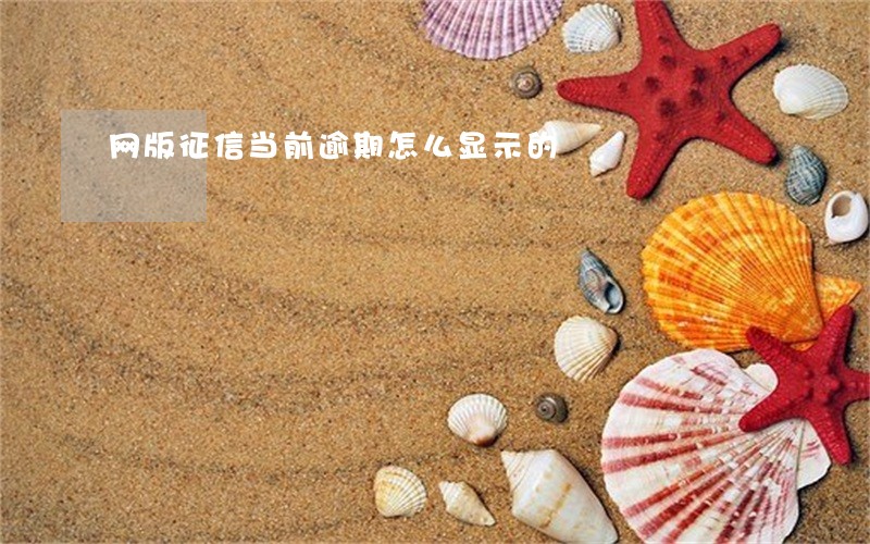 网版征信当前逾期怎么显示的